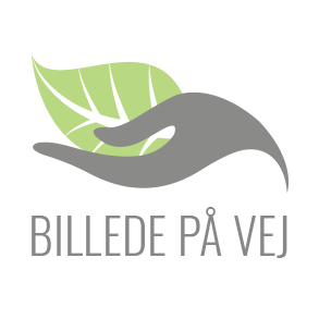 Gulvvaskere
